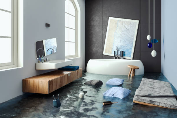 Best Water damage cleanup near me  in Sanford, NC