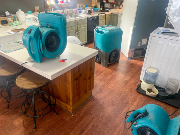 Best Mold removal after water damage  in Sanford, NC