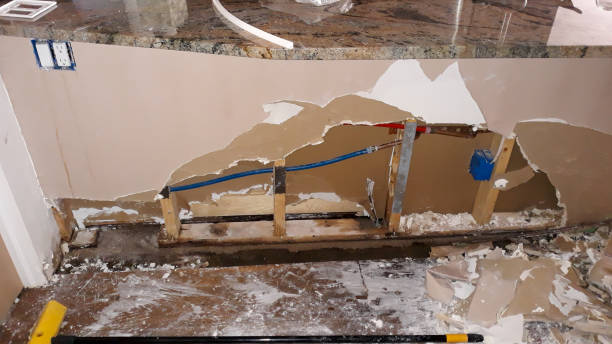 Best Basement water damage restoration  in Sanford, NC