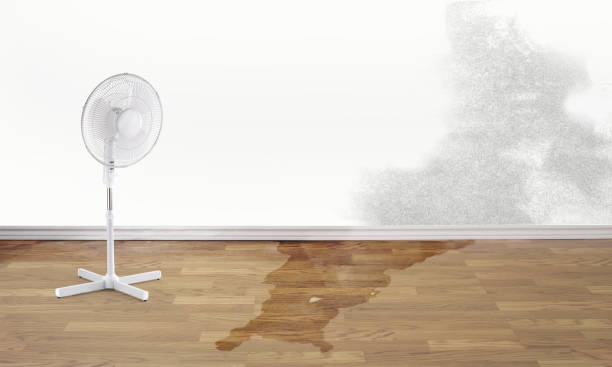 Best Residential water damage restoration  in Sanford, NC